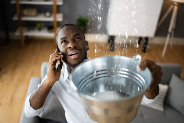 Best Water damage restoration services  in Sumter, SC