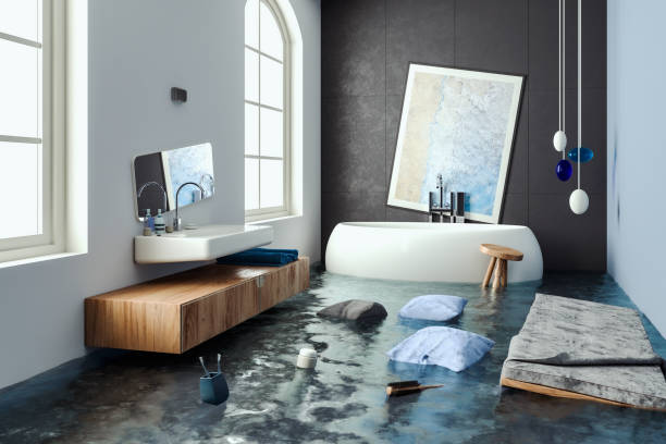 Best Basement water damage restoration  in Sumter, SC