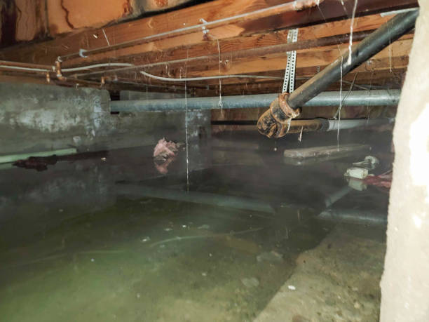 Water damage restoration insurance claims in Sumter, SC